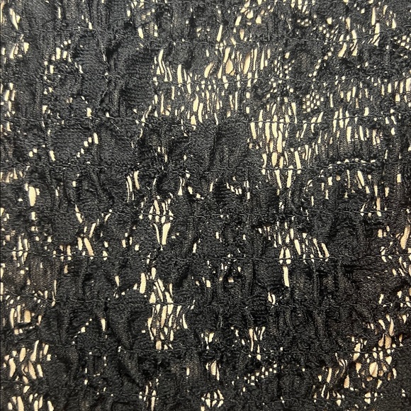 Torrid Black Lace Corset Bustier Top Boned Sheer Lace Y2K Going Out Top Sz 2X - Picture 5 of 10